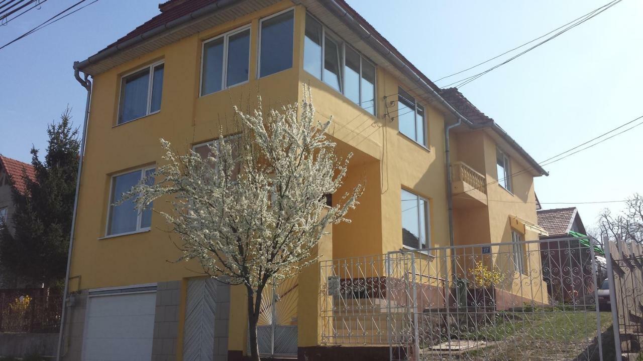 Casa Salin Hotel Turda Exterior foto